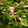 x's cooksnap of when they made Cranberry Kale Salad with Honey Lemon Vinaigrette.