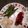 debbie's cooksnap of when they made Cranberry apple relish.