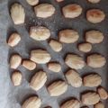 Cooksnap dari Artika untuk resep Lemon madeleine