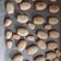 Cooksnap dari Artika untuk resep Lemon madeleine