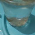 Ragini sinha 's cooksnap of when they made Lemonade.