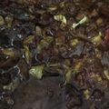 Cooksnap dari Ummu Abdullah untuk resep Tongseng Kambing