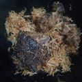 Cooksnap dari Ina Agustina untuk resep Empal daging no ribet