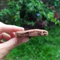 El cooksnap de Carolina CASTRO cuando hizo Galletitas con harina de Orujo de Tannat.