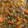 El cooksnap de carmen0282 cuando hizo Guiso de quinoa con zanahorias.