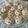 El cooksnap de mar cuando hizo Crumbl Cookies.