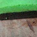 Cooksnap dari Kesawa Candra Maulana untuk resep Brownies coklat pandan