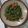 Cooksnap dari Mia Ariskha untuk resep Tumis Kangkung Saus Tiram