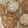Tonya Darby's cooksnap of when they made Just Plain Oatmeal Cookies.