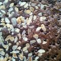 Cooksnap dari Ibu Dhea Marsya 2 untuk resep Chewy Brownies Shiny Crust