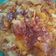 El cooksnap de Patricia Albarado de Martorelli cuando hizo Torta invertida de manzanas.