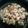 El cooksnap de Jordi Nebot cuando hizo Coliflor frita con ajos.