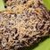 Cooksnap dari mutia zen untuk resep Brownies panggang shinny crust