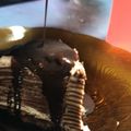 Cooksnap dari Sarah Azz untuk resep Mille Crepes Coklat