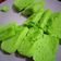Cooksnap dari Uniey Thewallace untuk resep Bolu Pandan Kukus Sederhana