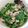 Cooksnap dari Jennifer Steffany untuk resep Baby Kailan with Chicken Garlic Sauce