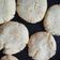 El cooksnap de Triana Cardoso cuando hizo Scones sin gluten.