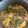 Cooksnap dari Pujiastuti Ranti untuk resep Gulai Daun Singkong Khas Padang
