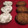 El cooksnap de Mariate cuando hizo Polvorones de Aceite de Oliva en MyCook.