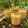 Pabi Chettri का कुकस्नैप जब उन्होंने रजवाड़ी मैंगो लस्सी Rajwadi Mango lassi (गर्मियों में ताजगी से भरपूर मैंगो लस्सी बनाएं मात्र 5 मिनट में) बनाया था।