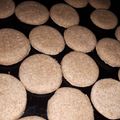 El cooksnap de Lulii Castro 🇦🇷 cuando hizo Galletitas integrales🇺🇾.