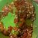 Cooksnap dari Vinkan Vian Dini untuk resep Sambal Korek Ala H. Slamet