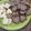 El cooksnap de Confis08 cuando hizo Mis súper galletitas de manteca.
