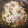 El cooksnap de Leonardo Toro Perez cuando hizo Guisado de calabacitas.