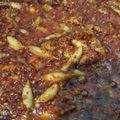Cooksnap dari Djarwo Victorianto untuk resep Sambal cumi asin (ide jualan)