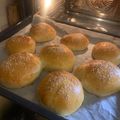 Bogi Cserniczky Cooksnap-ja, amikor elkészítette a(z) Puha hamburger buci receptet.