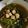 Cooksnap dari Miftahul Jannah untuk resep Tumis Kangkung Belacan