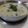 Juliben Dave's cooksnap of when they made ગુજરાતી કઢી - મગની છૂટી દાળ.
