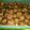 Cooksnap dari Liliana Azalia untuk resep Brownies mini kering