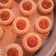 صورة من ماضي الاء ماضي الاء، شاركها بعد تجربة وصفة غريبية 😋