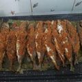 Cooksnap dari Nurhasanah untuk resep Ikan Bakar Ala Padang