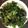 Lilcook1981's cooksnap of when they made Kale Chips.