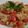 elinaionela's cooksnap of when they made Greek Summer Orzo Salad.