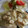 El cooksnap de Sara Pany cuando hizo Merluza en salsa verde con gambas.