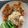Cooksnap dari Isna Rachma untuk resep Nasi Liwet (rice cooker)