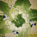 El cooksnap de javi lahoz cuando hizo Ensalada verde!.