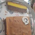 Cooksnap dari Maria Gabriela untuk resep Cake Lapis Malang lembutt (soft) #hariibu #ibupelindungsetiaku