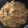 El cooksnap de Luna nicteha Espadas González cuando hizo Arroz frito chino.