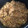 El cooksnap de Luna nicteha Espadas González cuando hizo Arroz frito chino.