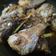 Cooksnap dari Bulan untuk resep Pindang ikan kembung maknyuss