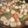 Cooksnap dari Diani Amelia untuk resep Tom Yum Steamboat Seafood by me!