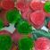 Cooksnap dari Ernie untuk resep Puding kaca