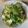 Cooksnap của Nhà Vân khi họ làm theo món Salad Dầu Giấm