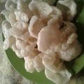 Cooksnap dari nurulkomalawati untuk resep Kerupuk nasi sisa tanpa bleng no penyedap (renyah banget)