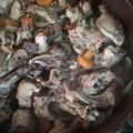 El cooksnap de mdcarrilloescobar cuando hizo Conejo en escabeche.