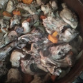 El cooksnap de mdcarrilloescobar cuando hizo Conejo en escabeche.